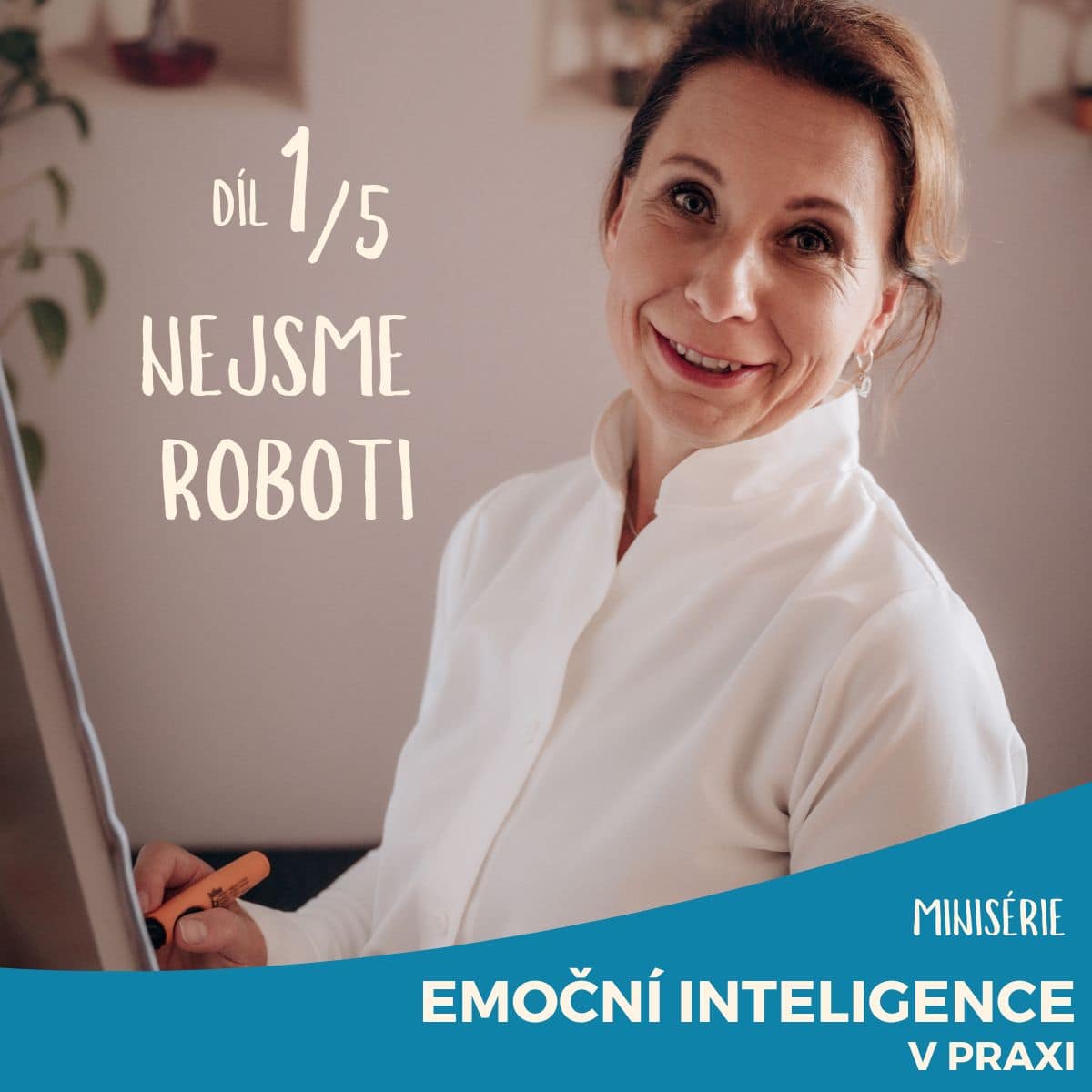 Emoční inteligence v praxi