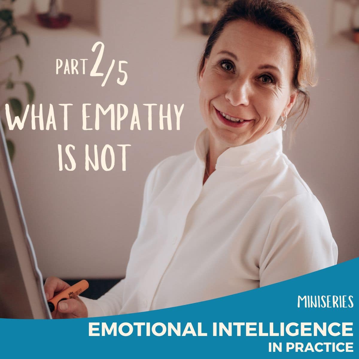 Emotional Intelligence in Practice