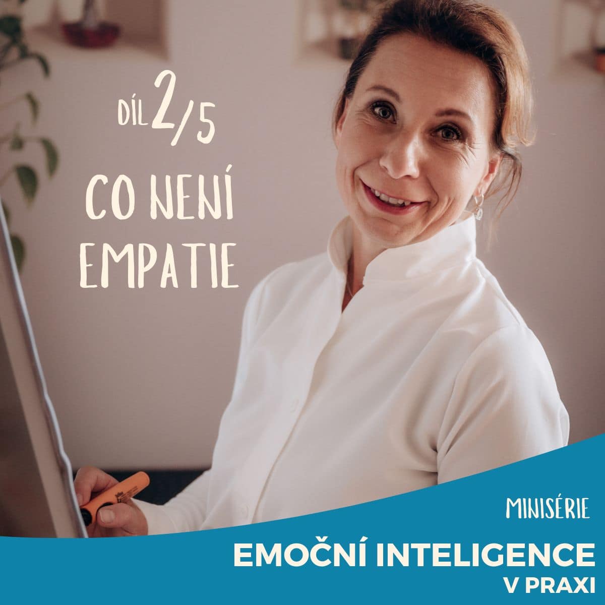 Emoční inteligence v praxi